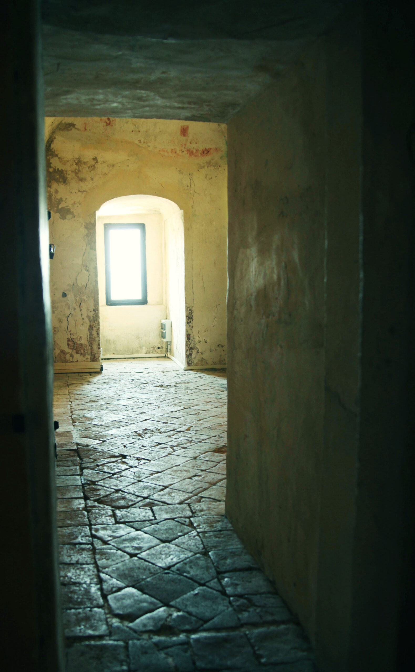 IMG 0444 Copy Copy Scaled