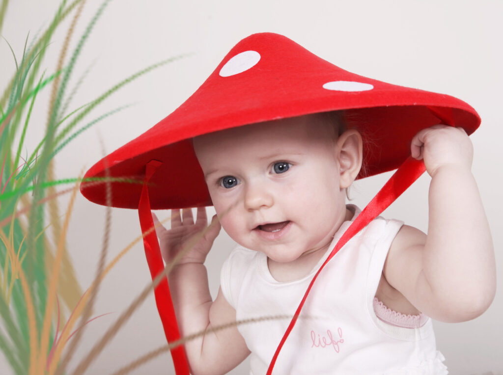 IMG 2390kopiekopie 1024x764