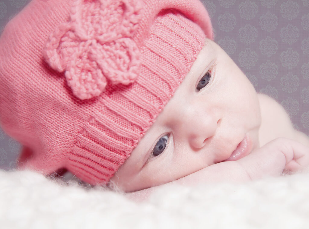 IMG 3688 Copy Copy 1024x760