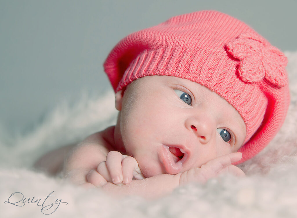 IMG 3698 Copy3 1024x753