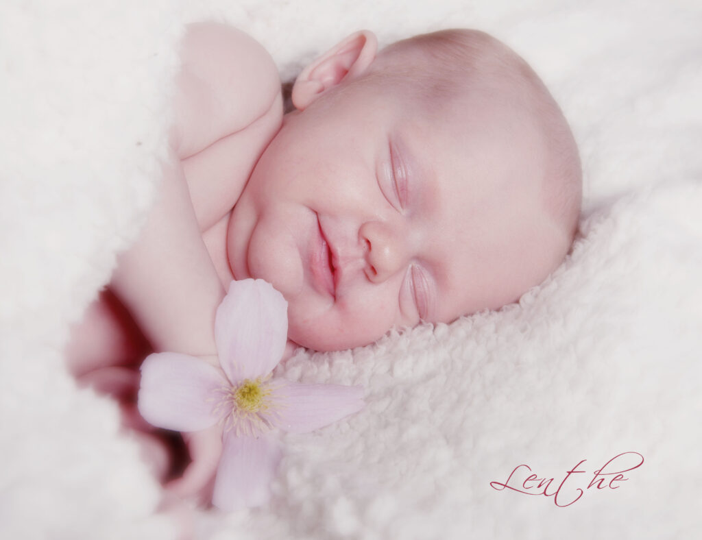 IMG 9729 Copy Copy3 1024x788